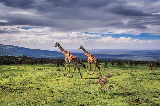 4 Days Tarangire Serengeti Ngorongoro Crater - Day two: the long road to Serengeti