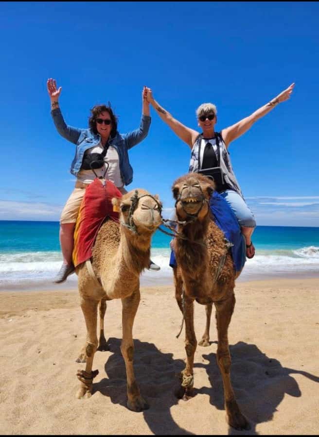 4 Hours Deluxe Guided Tour of Tangier + A tour with camels - Why this four-hour Tangier tour works