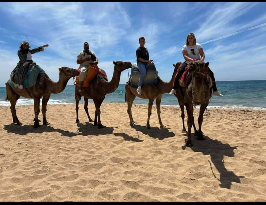 4 Hours Deluxe Guided Tour of Tangier + A tour with camels - Kasbah Museum and optional cultural stops