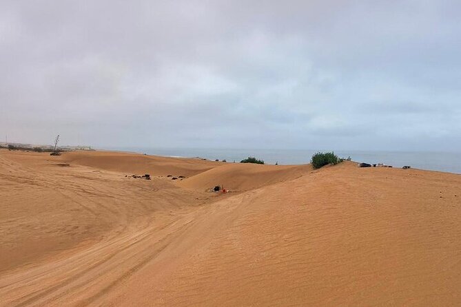 4x4 Jeep Safari in Agadir Mini Sahara and Berber Lunch - Argan oil and cactus honey
