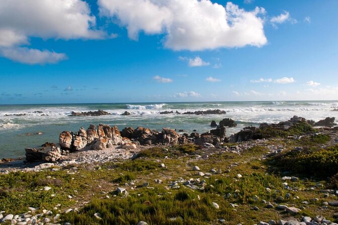 5-Day Garden Route & Addo Adventure from Cape Town to Port Elizabeth - What makes this South Africa road trip worth considering
