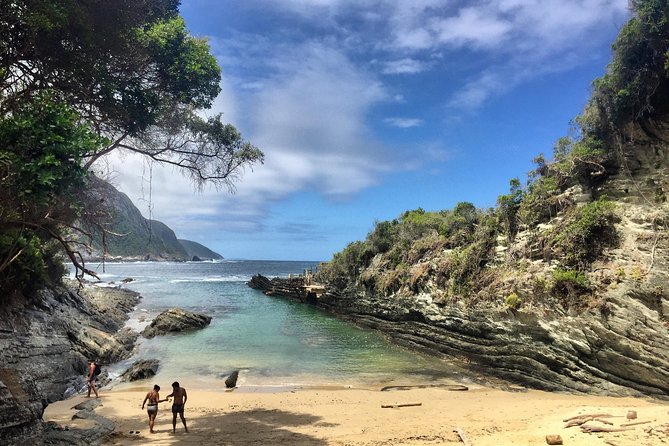 5-Day Garden Route & Addo Adventure from Cape Town to Port Elizabeth - Route 62, wine, and the inland turn
