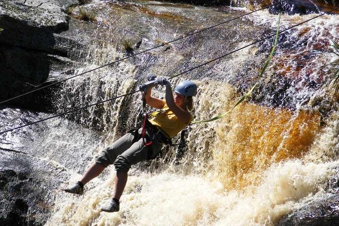 5 Day Garden Route and Addo Safari - Best of South Africa Small Group Tour - What this five-day Garden Route tour really offers