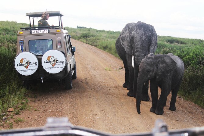 5-Day Highlights mid-Range Crater, Serengeti, Tarangire - Day 1: A quiet Arusha arrival at Arusha Planet Lodge