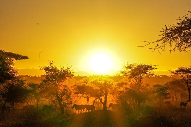 5-Day Private midrange Tour in Arusha with Airport Pickup - Day 2: Lake Manyara, flamingos, and hippo country
