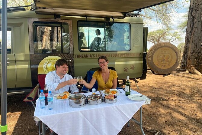 5-Day Private Northern Tanzania Safari from Arusha - Days 3 and 4: Two chances to find Serengeti predators
