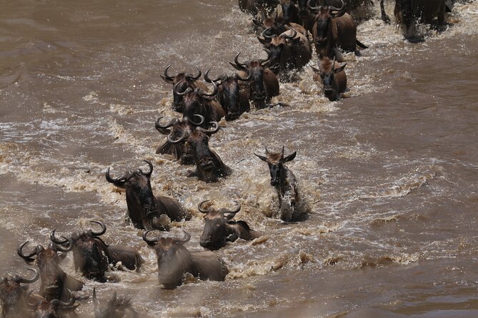 5-Day Private Northern Tanzania Safari from Arusha - Who should book this safari