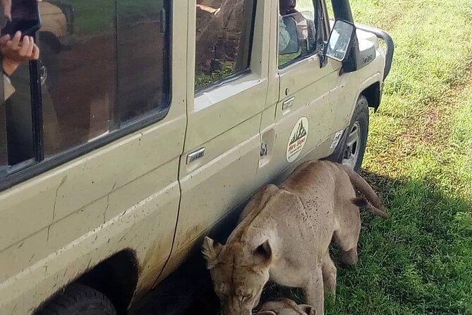 5 Days Camping Tarangire, Serengeti & Ngorongoro crater & Visiting Maasai - Mto wa Mbu adds a local stop beyond the animals