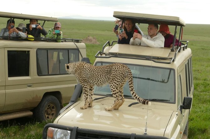 5 Days Camping Tarangire, Serengeti & Ngorongoro crater & Visiting Maasai - Camping comfort, food, and the people who run the trip