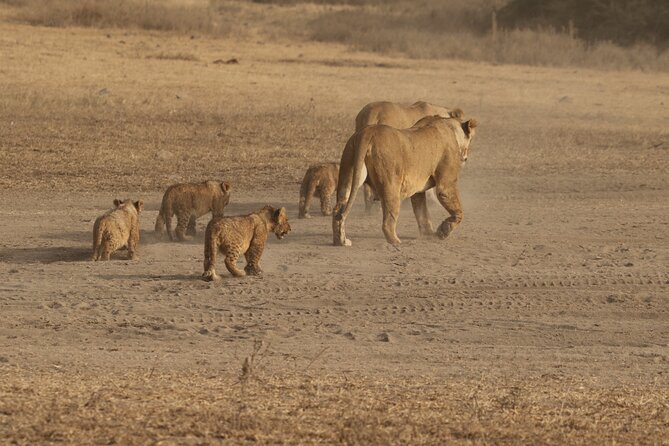 5 Days Group Camping Safari - Key points at a glance