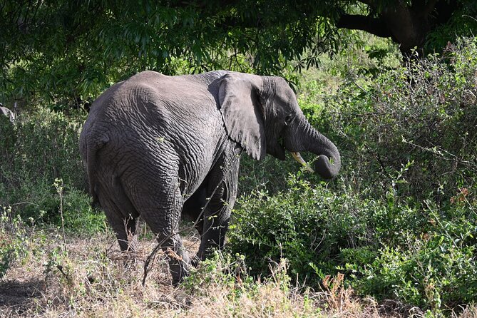 5 Days Group Camping Safari - Camping, food, and the everyday side of safari