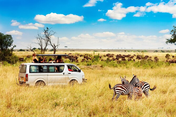 5 Days Masai Mara, Lake Nakuru & Naivasha Budget Joining Safari - Accommodation, meals, and what $810 buys you