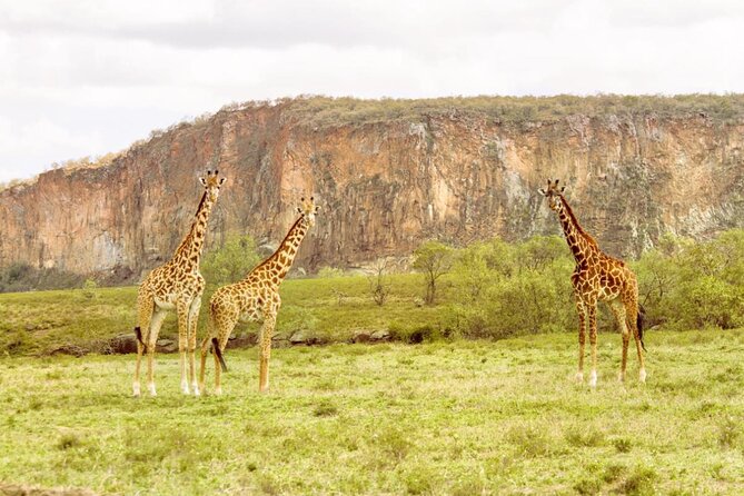 5 Days Masai Mara, Lake Nakuru & Naivasha Budget Joining Safari - Day 1: The Great Rift Valley and first Mara drive