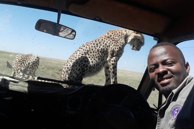5 Days Tanzania Group Joining Safari, Tarangire/Serengeti/Ngorongoro Crater - Day one: elephants and baobabs in Tarangire
