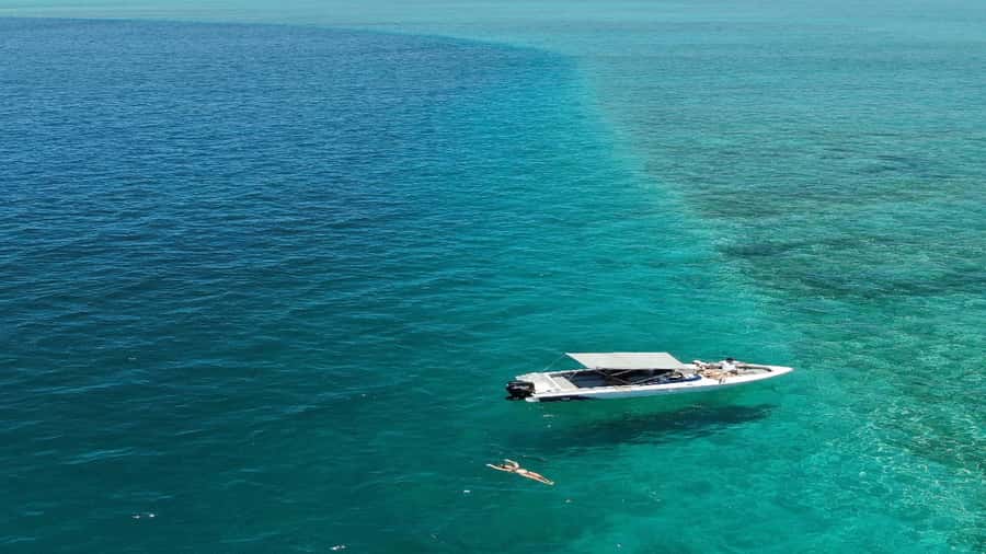 5 Islands Speedboat w/Snorkeling Sea Turtle + Lunch & Drinks - Île aux Cerfs begins the island circuit