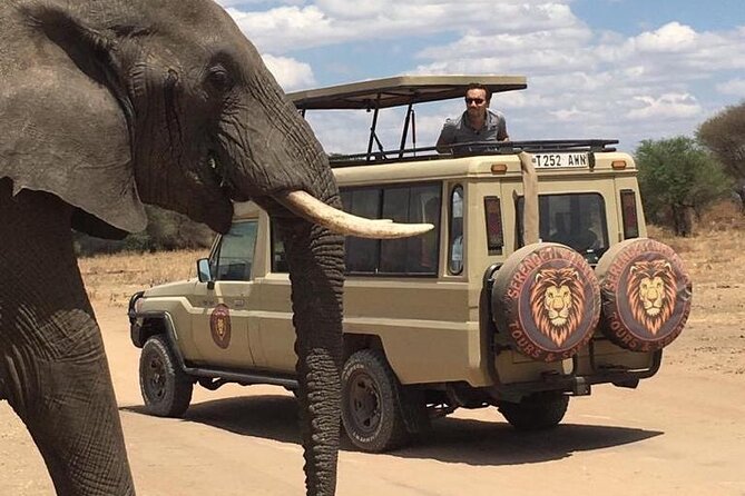 6 Days Private Budget Safari - The private vehicle makes a difference