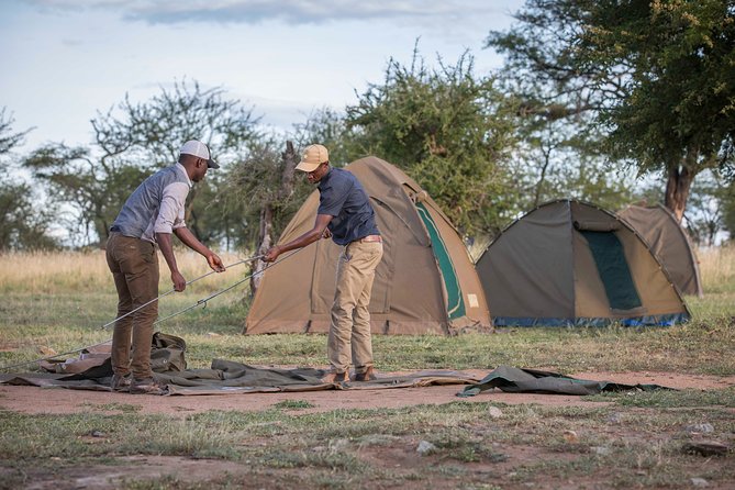 6 Days Private Budget Safari - Day 1: Tarangire brings elephants close
