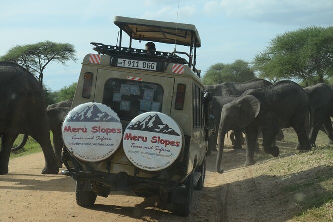 6 Days Tanzania Budget Camping Safari - Day four: an early Serengeti start and the road to Ngorongoro