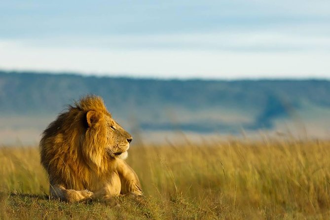 6 Days Tanzania Budget Camping Safari - Day two: crossing toward the Serengeti