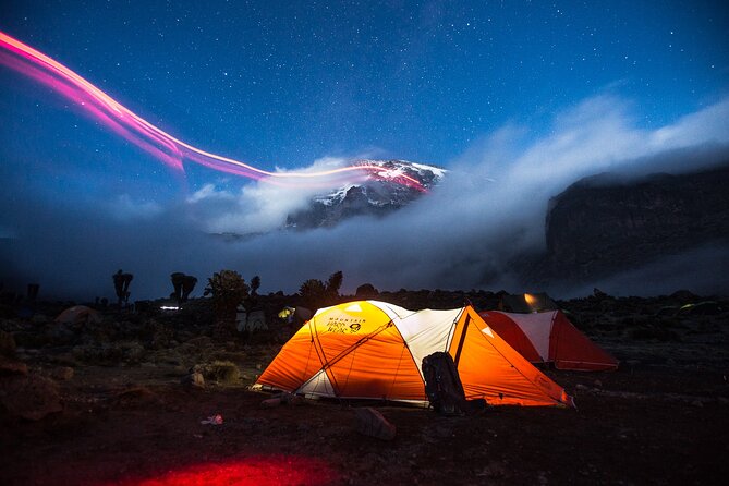 7-Day Machame Kilimanjaro Summit Tour from Arusha - Day 1: Machame Gate and the wet forest