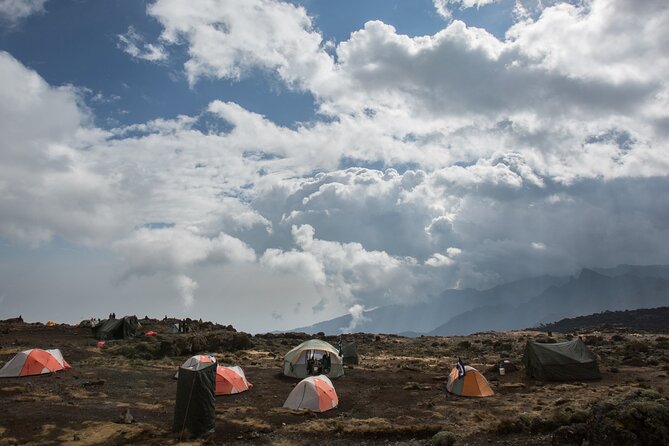 7-Day Machame Kilimanjaro Summit Tour from Arusha - Day 7: Mweka Gate and the return to Arusha