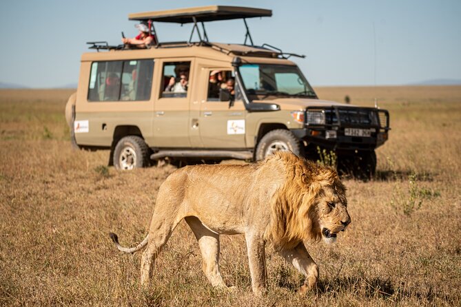 7-Day Premium Luxury Tanzania Safari All-Inclusive - Five details worth knowing before you book