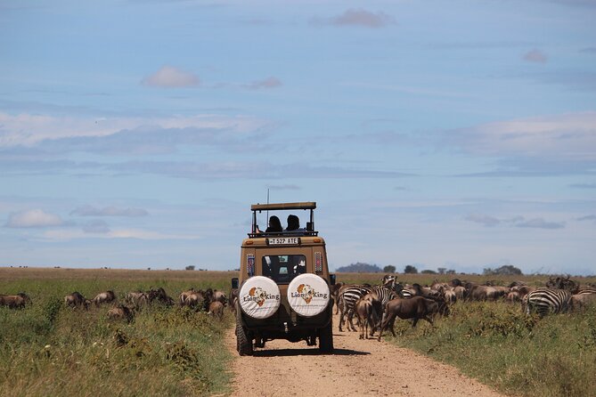 9-Day Serengeti Migration Footsteps Tanzania Safari - Day 7: From the Serengeti to the crater rim