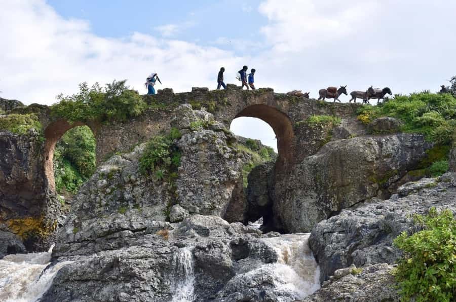 Addis Ababa: Debre Libanos, Blue Nile Gorge, and Cave Tour - Gelada baboons along the mountain roads