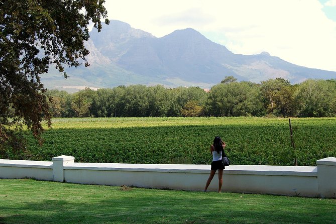 African Story Wine Tours in the Cape Winelands - What happens at the winery stops
