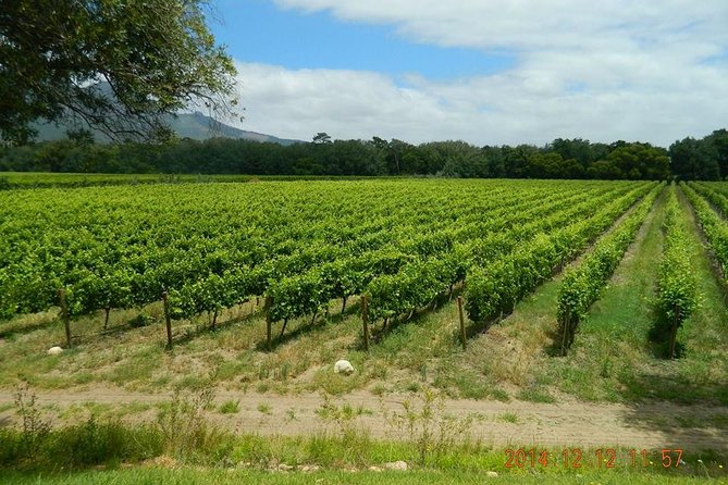 African Story Wine Tours in the Cape Winelands - Cheese, chocolate, olives, and local pairings