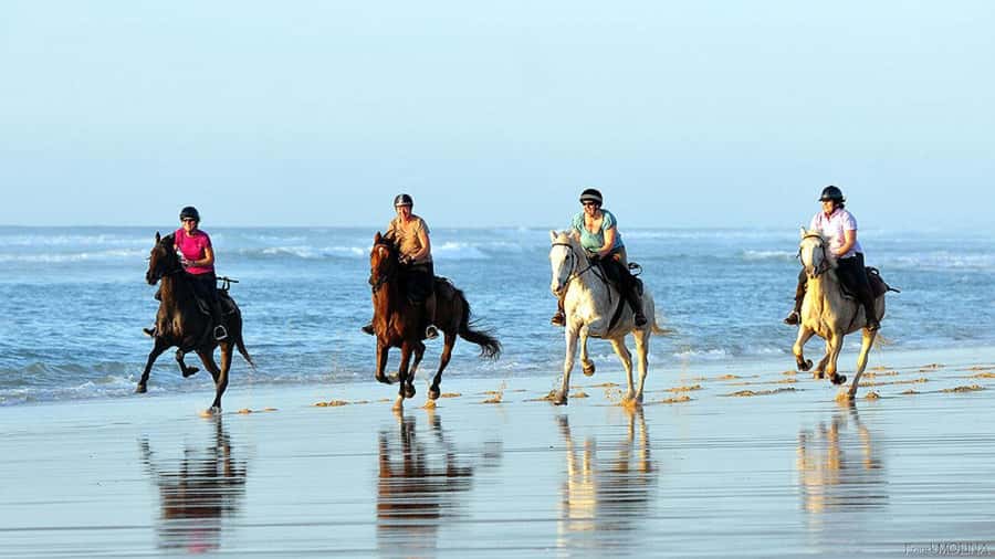 Agadir and Taghazout: 2-Hour Horseback Ride on the Beach - A beach ride built around sunset light
