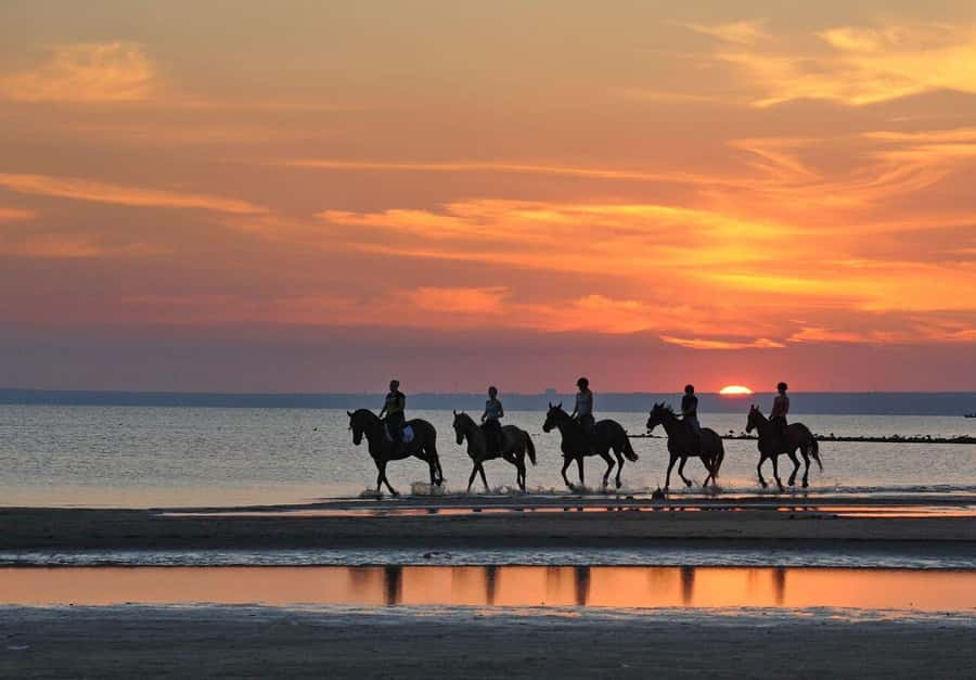 Agadir and Taghazout: 2-Hour Horseback Ride on the Beach - What the 90-minute route feels like
