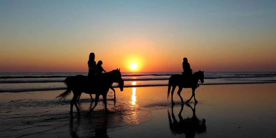 Agadir and Taghazout: 2-Hour Horseback Ride on the Beach - Why the guides matter so much