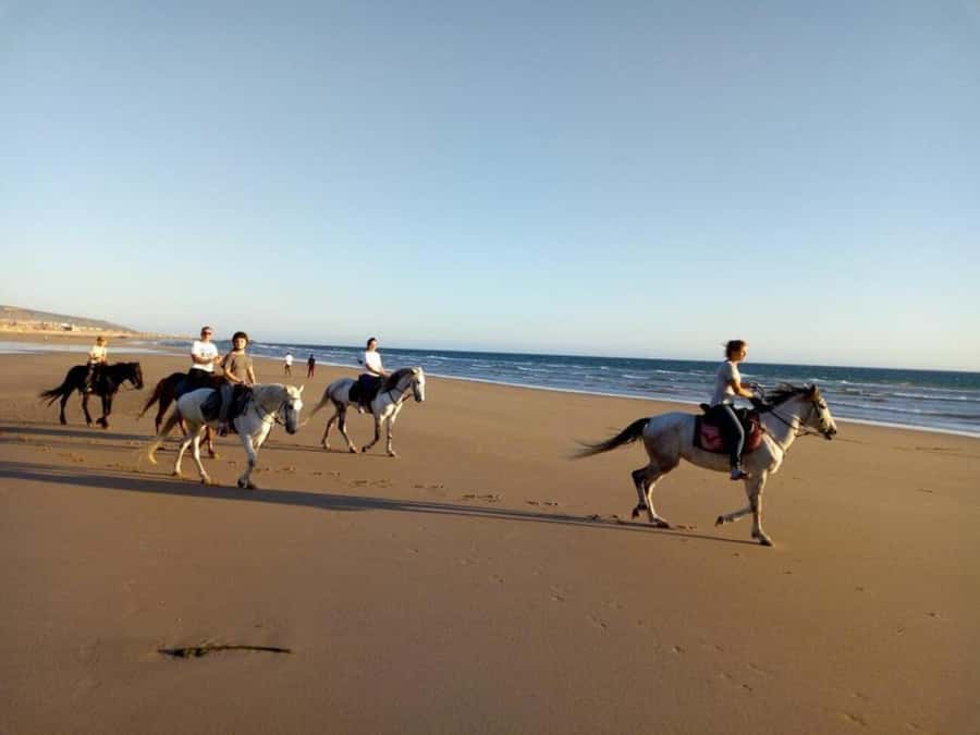 Agadir and Taghazout: 2-Hour Horseback Ride on the Beach - Horse care and the simple ranch setting