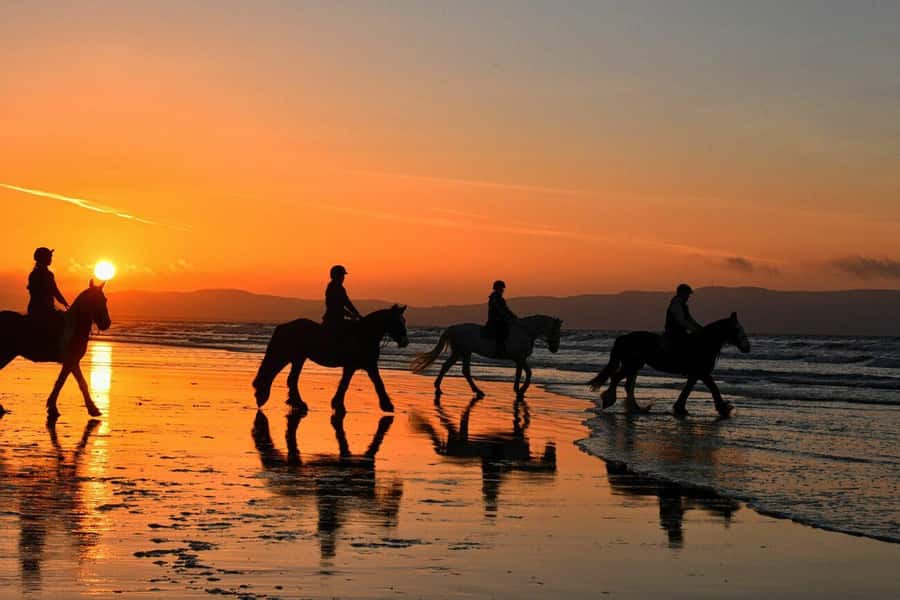 Agadir and Taghazout: 2-Hour Horseback Ride on the Beach - Pickup from Agadir, Taghazout, or nearby villages