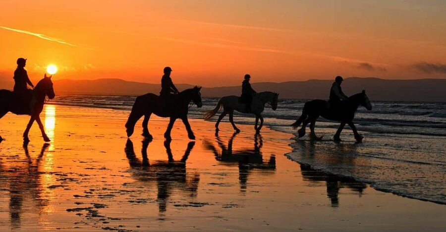 Agadir and Taghazout: Morning Horse Ride on The Beach - The first lesson for beginners