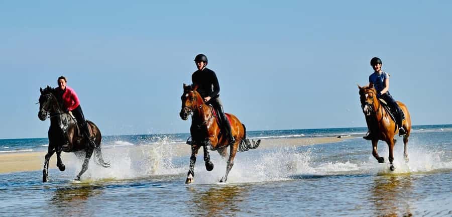 Agadir and Taghazout: Morning Horse Ride on The Beach - Guides, photos, and the human touch