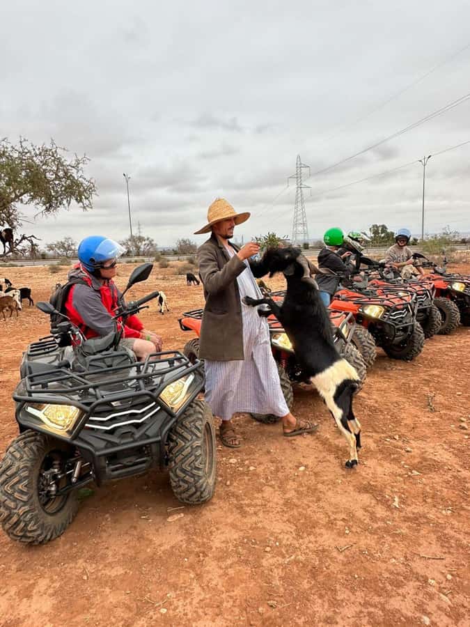 Agadir: ATV Quad Biking and Goats On Argan Trees with Tea - How the transport and timing work