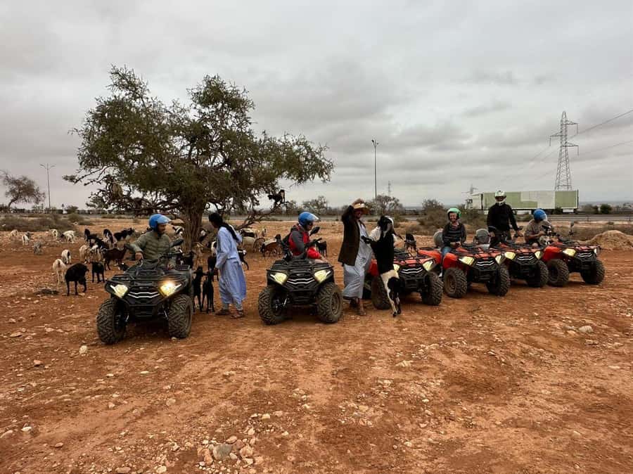Agadir: ATV Quad Biking and Goats On Argan Trees with Tea - Is the goat stop ethical and authentic?