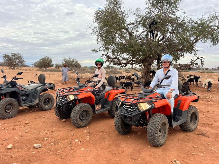 Agadir: ATV Quad Biking and Goats On Argan Trees with Tea - Mint tea under a Berber tent