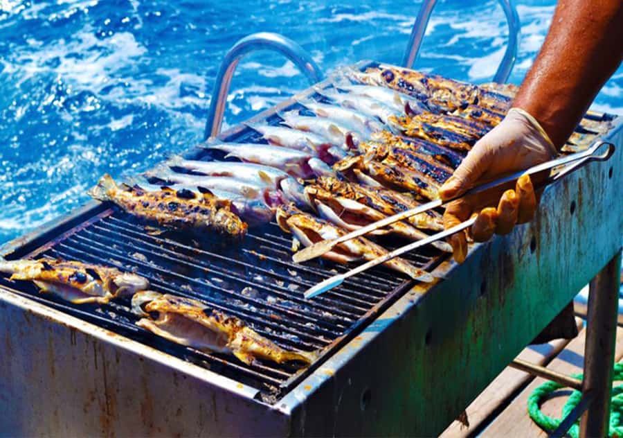 Agadir: Boat Trip with Fishing, Swimming, and BBQ Lunch - Should you book the Agadir boat trip?