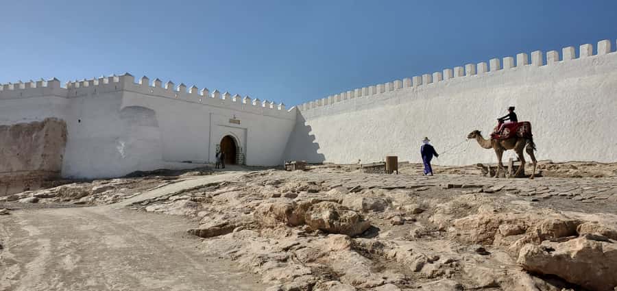 Agadir: Cable Car Ticket and Guided City Tour - Mohamed V Mosque, an exterior architectural stop