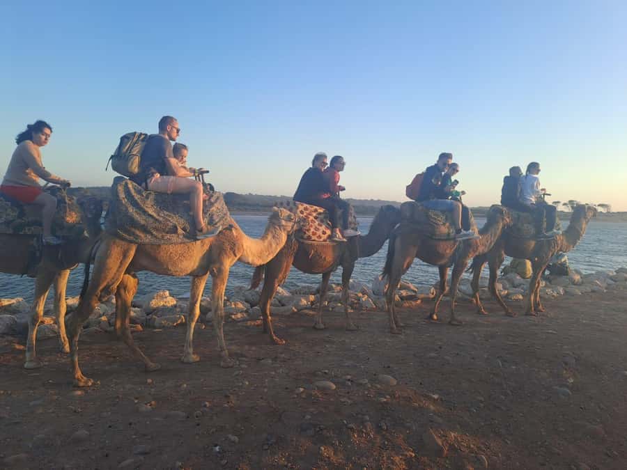 Agadir: Camel or Horse Ride + BBQ & Transfer Sunset Optional - Hotel pickup around Agadir