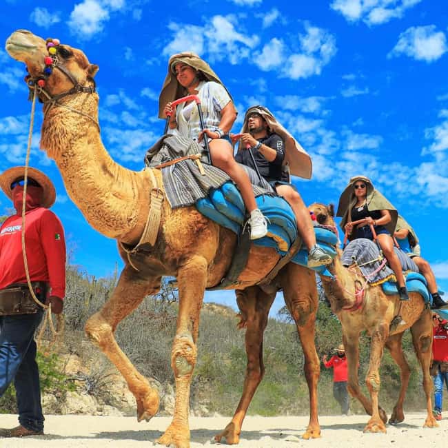 Agadir: Camel Ride With Tea & BBQ Dinner Option - What the camel route is really like