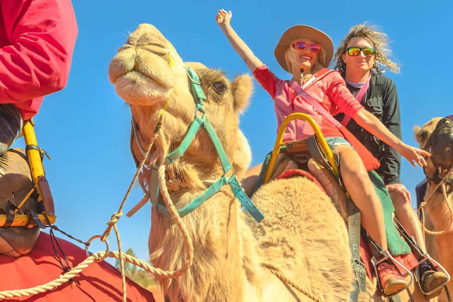 Agadir: Camel Ride With Tea & BBQ Dinner Option - Choosing the best departure time