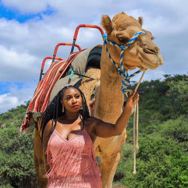 Agadir: Camel Ride With Tea & BBQ Dinner Option - Mint tea, biscuits, and the traditional stop