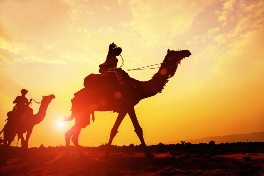 Agadir: Camel Ride With Tea & BBQ Dinner Option - Who should book it