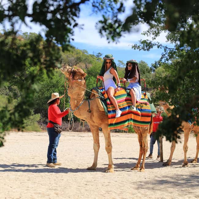 Agadir: Camel Ride With Tea & BBQ Dinner Option - Friendly guides and photo stops