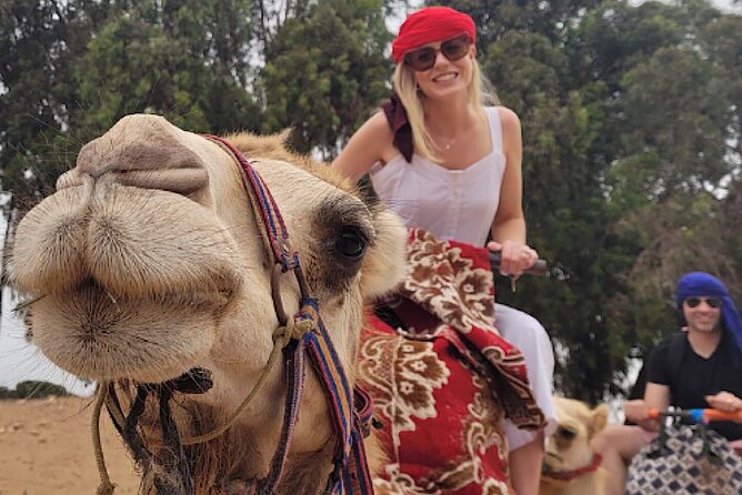 Agadir Camel Rides with Tea Drink & cakes - What the Agadir camel ride is really like