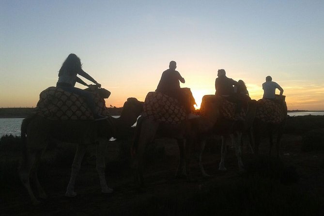 Agadir Camel Riding +Sunset and Dinner( barbecue) - A 5 pm departure from Agadir